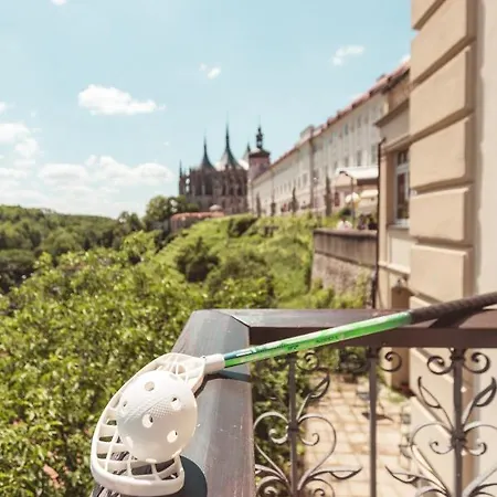 U Varhanare Hotel Kutna Hora